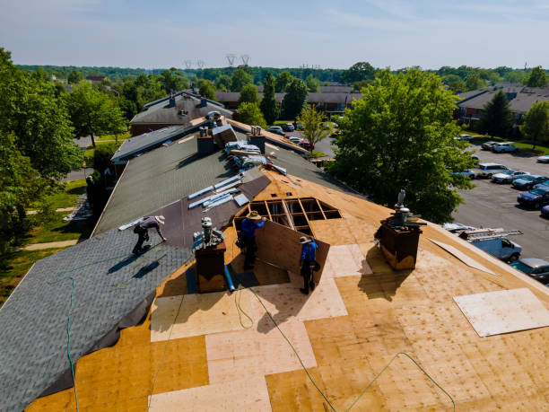 Trusted Flat Roof Repair service in Bohannon, VA - Brentwood Metal Roofing